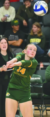 Going the distance: NMU volleyball prevails again in 5-setter vs. Tech